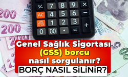 Genel Sağlık Sigortası (GSS) borcu nasıl sorgulanır?: Borç nasıl silinir?