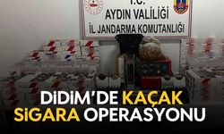 Didim’de kaçak sigara operasyonu