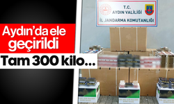 Aydın'da ele geçirildi! Tam 300 kilo...