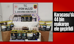 Karacasu'da 44 bin makaron ele geçirildi