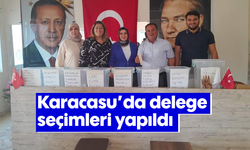 Karacasu'da delege seçimleri yapıldı