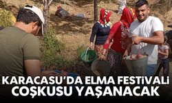 Karacasu'da elma festivali coşkusu yaşanacak