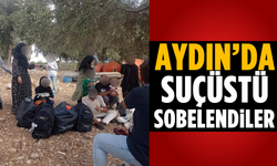 Aydın'da suçüstü sobelendiler