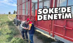 Söke'de denetim