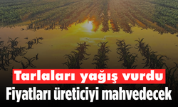 Tarlaları yağış vurdu: Fiyatları üreticiyi mahvedecek