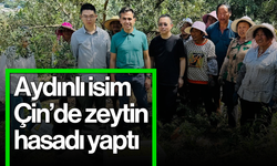 Aydınlı isim, Çin’de zeytin hasadı yaptı