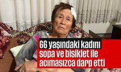 66 yaşındaki kadını sopa ve bisiklet ile acımasızca darp etti