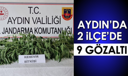 Aydın’da 2 ilçede 9 gözaltı