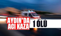 Aydın'da acı kaza; 1 kişi hayatını kaybetti