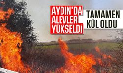 Aydın'da alevler yükseldi: Tamamen kül oldu