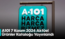 A101 7 Kasım 2024 Aktüel Ürünler Kataloğu Yayınlandı