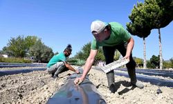 Adabahçe bu kış da sofralara lezzet ve bereket katacak