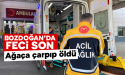 Bozdoğan’da feci son: Ağaça çarpıp öldü