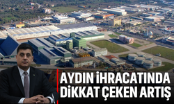 Aydın ihracatında dikkat çeken artış