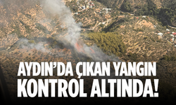 Aydın'da çıkan yangın kontrol altında!