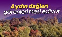 Aydın dağları görenleri mest ediyor