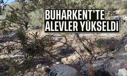 Buharkent’te arazi yangını