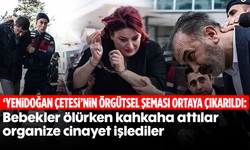 'Yenidoğan çetesi'nin örgütsel şeması ortaya çıkarıldı: Bebekler ölürken kahkaha attılar, organize cinayet işlediler