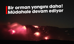 Bir orman yangını daha! Müdahale devam ediyor