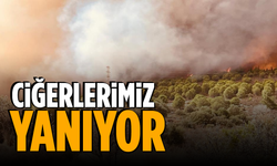 Ciğerlerimiz yanıyor!