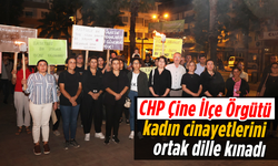 CHP Çine İlçe Örgütü, kadın cinayetlerini ortak dille kınadı