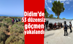 Didim'de 53 düzensiz göçmen yakalandı