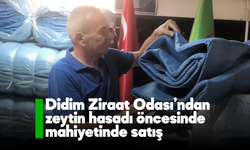 Didim Ziraat Odası'ndan zeytin hasadı öncesinde mahiyetinde satış