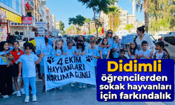 Didimli öğrencilerden sokak hayvanları için farkındalık