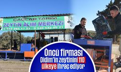 Öncü firması, Didim’in zeytinini 110 ülkeye ihraç ediyor