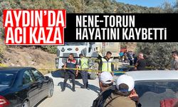 Aydın'da acı kaza: Nene-torun hayatını kaybetti