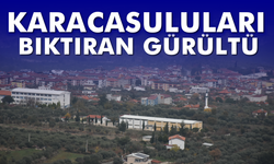 Karacasuluları bıktıran gürültü