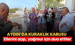 Aydın'da kuraklık kabusu! Ellerini açıp, yağmur için dua ettiler