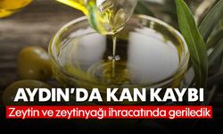 Aydın'da kan kaybı: Zeytin ve zeytinyağı ihracatında geriledik