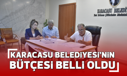 Karacasu Belediyesi'nin bütçesi belli oldu