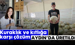 Kuraklık ve kıtlığa karşı çözüm: Aydın'da üretildi