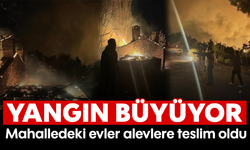 Orman yangını büyüyor! Mahalledeki evler alevlere teslim oldu