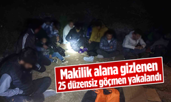 Makilik alana gizlenen 25 düzensiz göçmen yakalandı