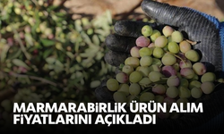 Marmarabirlik ürün alım fiyatlarını açıkladı