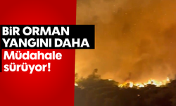 Bir orman yangını daha: Müdahale sürüyor!