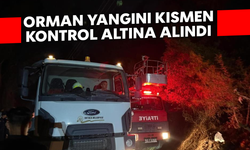 Orman yangını kısmen kontrol altına alındı