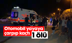 Otomobil yayaya çarpıp kaçtı: 1 ölü