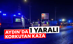 Aydın'da korkutan kaza: 1 yaralı