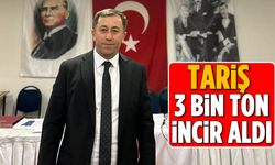 Tariş 3 bin ton incir aldı