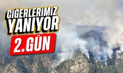 Ciğerlerimiz yanıyor: Yangında ikinci gün