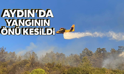 Aydın'da yangının önü kesildi