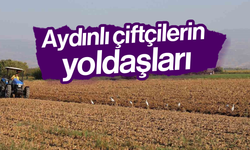 Aydınlı çiftçilerin yoldaşları