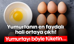 Yumurtanın en faydalı hali ortaya çıktı! Yumurtayı böyle tüketin...