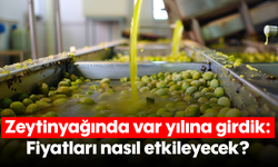 Zeytinyağında var yılına girdik: Fiyatları nasıl etkileyecek?