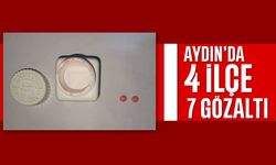 Aydın'da 4 ilçe, 7 gözaltı