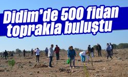 Didim'de 500 fidan toprakla buluştu